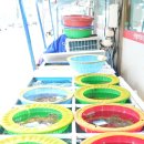 윤희네뻘낙지전문점 | 무안 점심 맛집 국내산 낙지 윤희네뻘낙지전문점