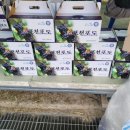 신북IC주유소 네이버블로그