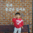 카페그꽃 이미지