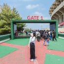 인천 가볼만한곳 SSG 랜더스필드 도그데이 LG전 주말 야구직관