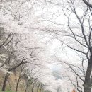 청룡저수지 이미지