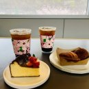 포레 | 양산 벚꽃 명소 아미드포레 카페 후기