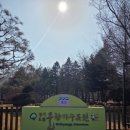 경기도오산 아이와함께 걷기 좋은 봄 물향기수목원