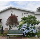 블라제 | 블라제리조트 제주 남원 리조트 이용 후기