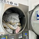 워시팡팡셀프빨래방울산 이미지