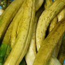 항아리에 소금물 끓여 부어 만든 노르스름한 옛날식 오이지 담갔어요 이미지