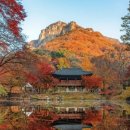 11/7(토)백양사 선운사 단풍 트레킹 진잠승차 이미지