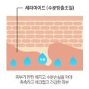 안티에이징의원 이미지