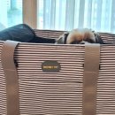 정선가축병원 이미지