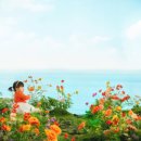 씨유울산대현햇살점 | 울산 돌사진, 엄마들이 가장 많이 저장한 컨셉 TOP3