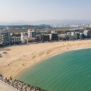 포말커피