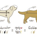 골든패턴 이미지