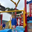 타이거 유치부 태권도 전용관 | 세종 고운동 태권도 타이거유치부태권도전용관, 믿고 보내는 우리 아이 첫 태권도장