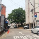 광철농장 Daum카페
