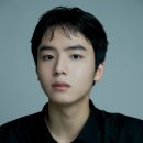 다있다 bnt뉴스