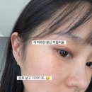 헤이지니 엑스포츠뉴스