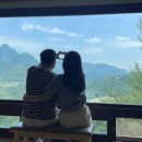 오렌지꽃향기는바람에날리고민박 | 경북 봉화여행|봉화카페 [오렌지 꽃향기는 바람에 날리고]다녀왔어요!