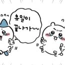 별난주점고대안암점