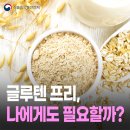 슈거프리
