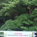 Old Poets 이미지