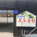식장산포도농원