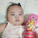 생후 6개월 아기 어린이집 입소 포기 &amp; 육아종합지원센터 시간제보육 독립반 서비스 신청 및 적응 후기