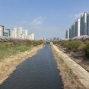 니트디자인(야간) 이미지