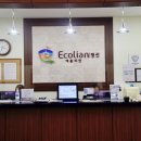 에콜리안 정선골프장 골프연습장 이미지