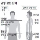 몸살림운동 이미지