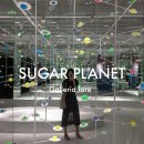 [서울숲/갤러리아포레] 슈가플래닛 전시 후기, SUGAR PLANET