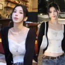 티슬림인터내셔날