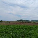 상모리-17 이미지