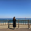 도평 스테이 이미지