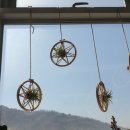 창원시 직업재활센터 이미지