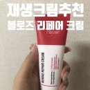 블로즈 이미지