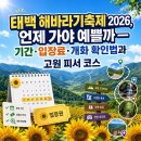 송이숲민박 | 태백 해바라기축제 2026, 언제 가야 예쁠까 — 기간·입장료·개화 확인법과 고원 피서 코스