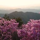 천주산 / 경남 창원시 이미지