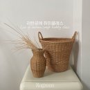 로그린 이미지