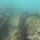 돌고래약품 이미지