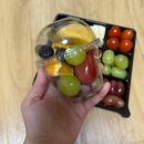 부평과일 / 과일판다 : 부평배달과일 9종 과일도시락 컵과일