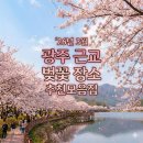 광주천변 자전거 도로 | 26년 3월 광주광역시 근교 벚꽃 장소 추천모음집 및 개화시기 정리