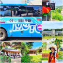 시티투어 버스! 성북동 여행 가볼만한곳 길상사, 한양도성, 와룡공원, 삼우장, 최순우 옛집, 고대박물관