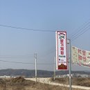 수부길 | 평택 아이와 나들이하기 좋은 고덕딸기체험팜 내돈내산 후기