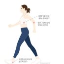 매교 이미지