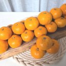 유현농장 이미지