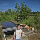 충호농장 이미지