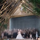 프라나 헤어 | 포항 라메르웨딩 본식 드레스 헤어메이크업 후기 루체홀