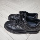 구로-구로-구로-2043 이미지