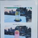 카페인 분재 이미지
