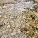 계룡산약국 | [공주 여행] 여름철 피서지로 딱! 공주 동학사 계곡 물놀이 가이드 (주차·식당·꿀팁)